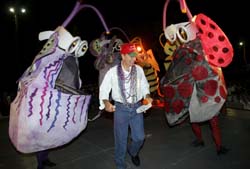 Pet Masquerade and Parade 2005 photo - Duval Street, Key West